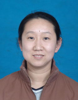 Qi Zhang, PhD, MA 
